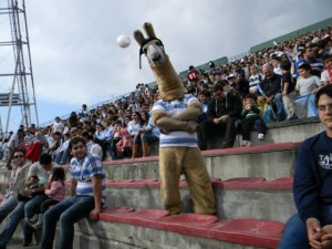 La simpática llama en la tribuna durante el test mach.