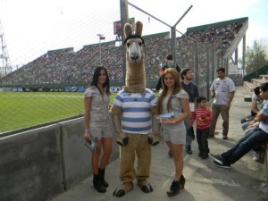 Las promotoras jujeñas en el partido Los Pumas-Inglaterra.