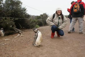 Hay ciertas normas que hay que tener en cuenta a la hora de realizar esta experiencia, la más importante respetar al pingüino.