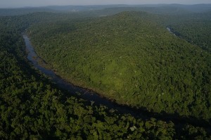 Reserva de Biosfera Yabotí.