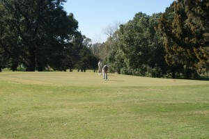 Bordeado por el arroyo Ramallo, muy cerca del centro de la cuidad, se encuentra el San Nicolás Golf Club.
