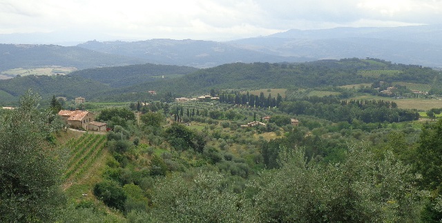 Vista panorámica de viñedos y olivares en Montalcino.