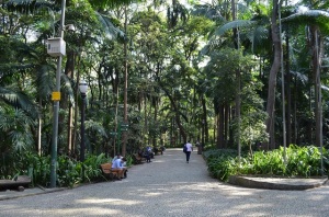 El Parque Trianon, fue inaugurado en 1892, un año después de la Avda Paulista, fue proyectado por el paisajista francés Paul Villon.
