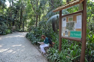 El Parque Trianon se encuentra abierto de 6 a 18 hs, ideal para un descanso después de esta larga caminata y al frente del MASP.