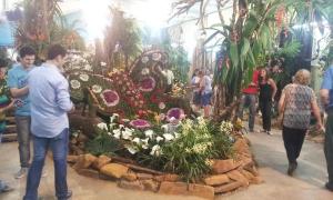 Parque Vortisch a pleno para la Fiesta Orquídea 2014.