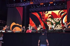El Chango Spasiuk sobre el escenario.