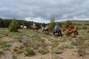 A 15Km de Bariloche dentro del Parque Nacional Nahuel Huapi se encuentra el establecimiento Haneck. En la transicion del bosque y la estepa patagónica disfrutá de una espectacular cabalgata.