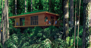 Moconá Lodge fue construido bajo estrictas políticas de sustentabilidad y protección ambiental, convirtiéndolo en un lugar único y protegido, ideal para los amantes de la naturaleza.