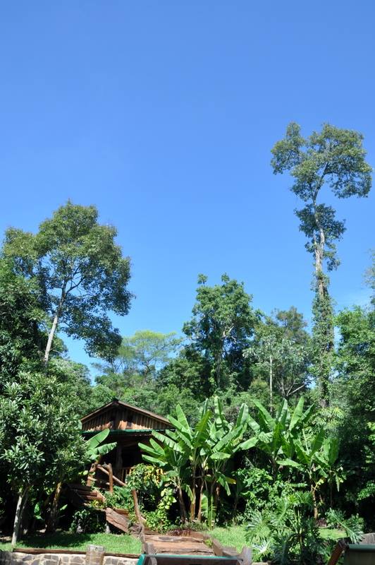 Selva Misionera y alojamiento ecológico.